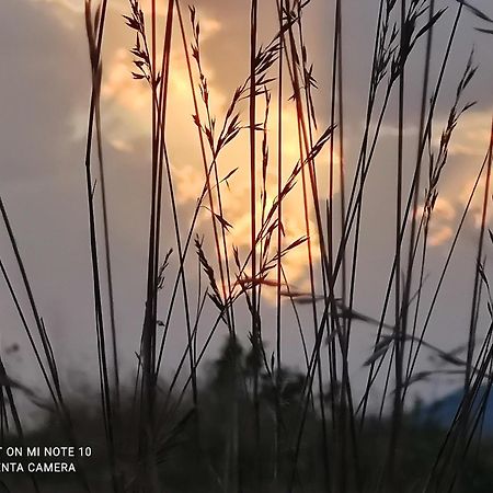 Le Gite D'Olympe Cordes-sur-Ciel Buitenkant foto