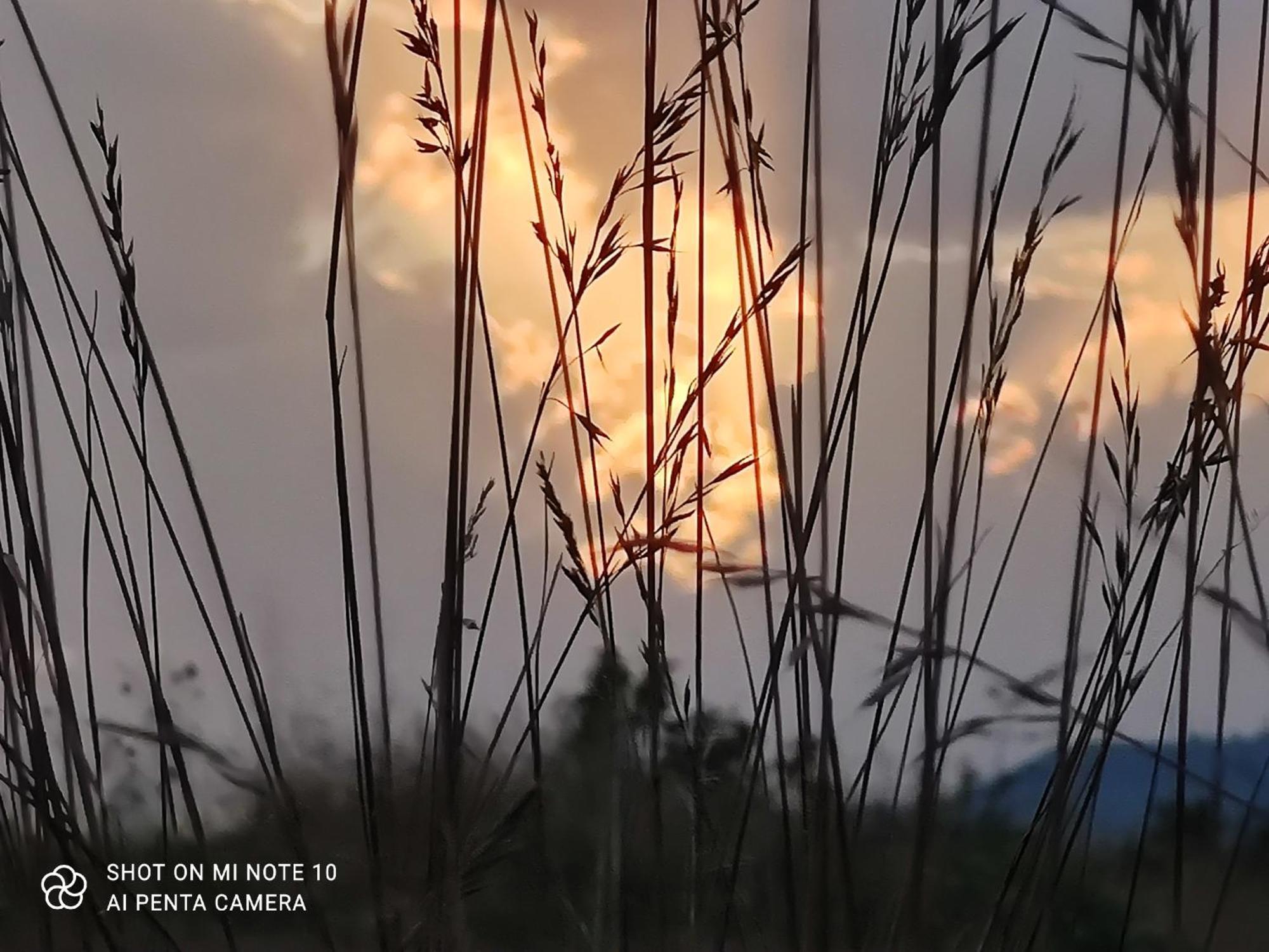 Le Gite D'Olympe Cordes-sur-Ciel Buitenkant foto